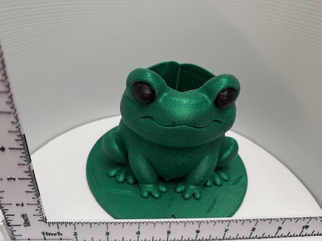 Frog Soap Holder