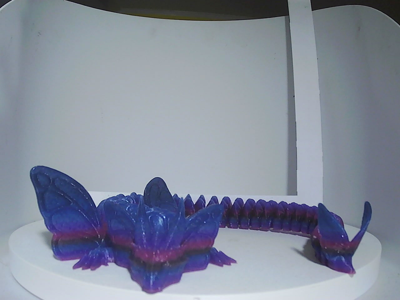 Articulated butterfly dragon in blue purple magenta gradient displayed on white surface