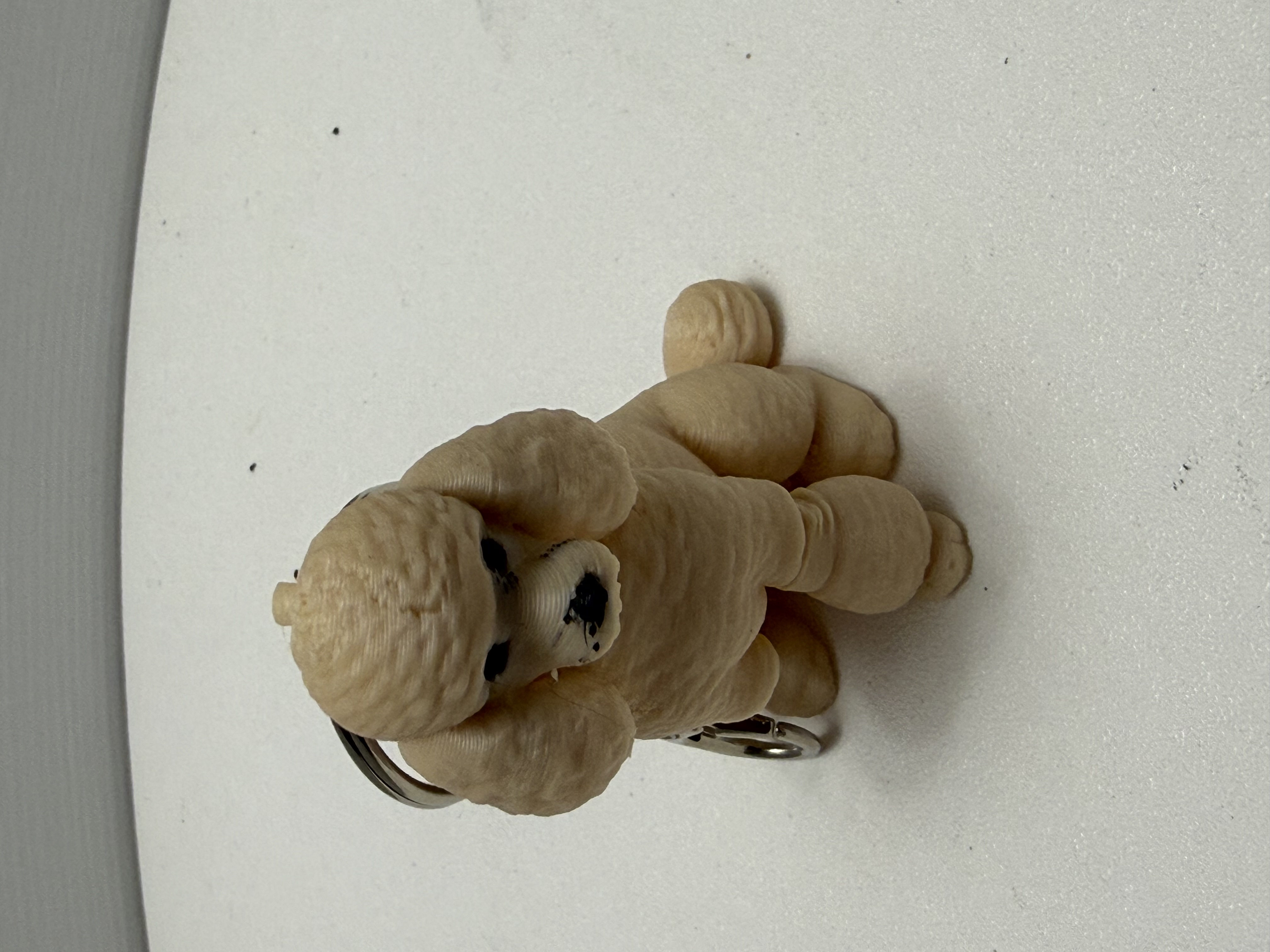 3D-printed cream poodle keychain with curly texture and silver split ring on white surface