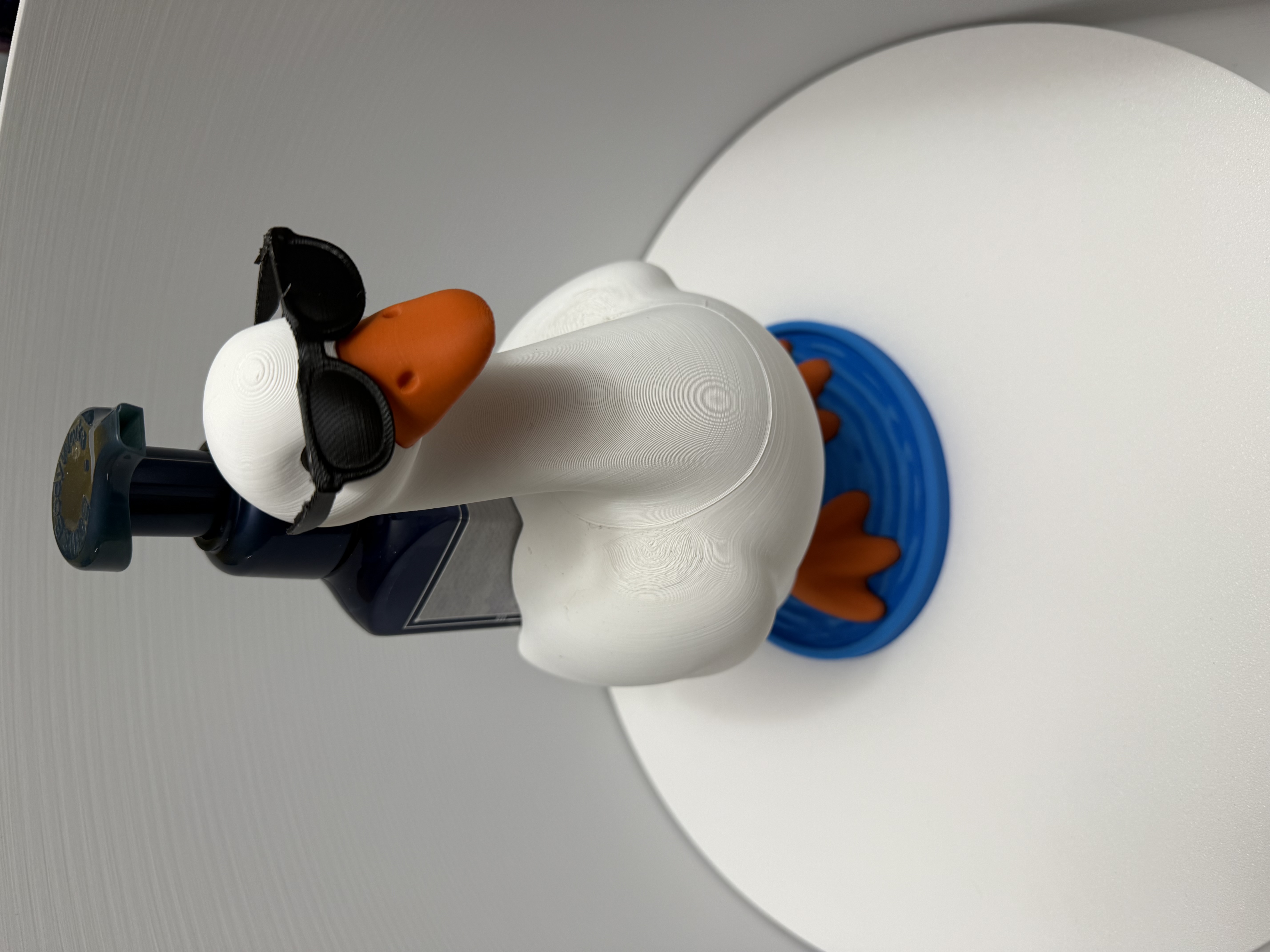 Close-up front view of white duck holder in sunglasses with orange beak and blue base