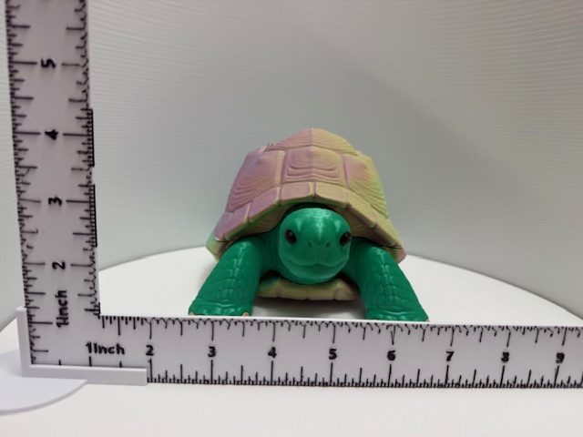 Front view of a 3D printed tortoise with pastel dome shell and wide dark eyes