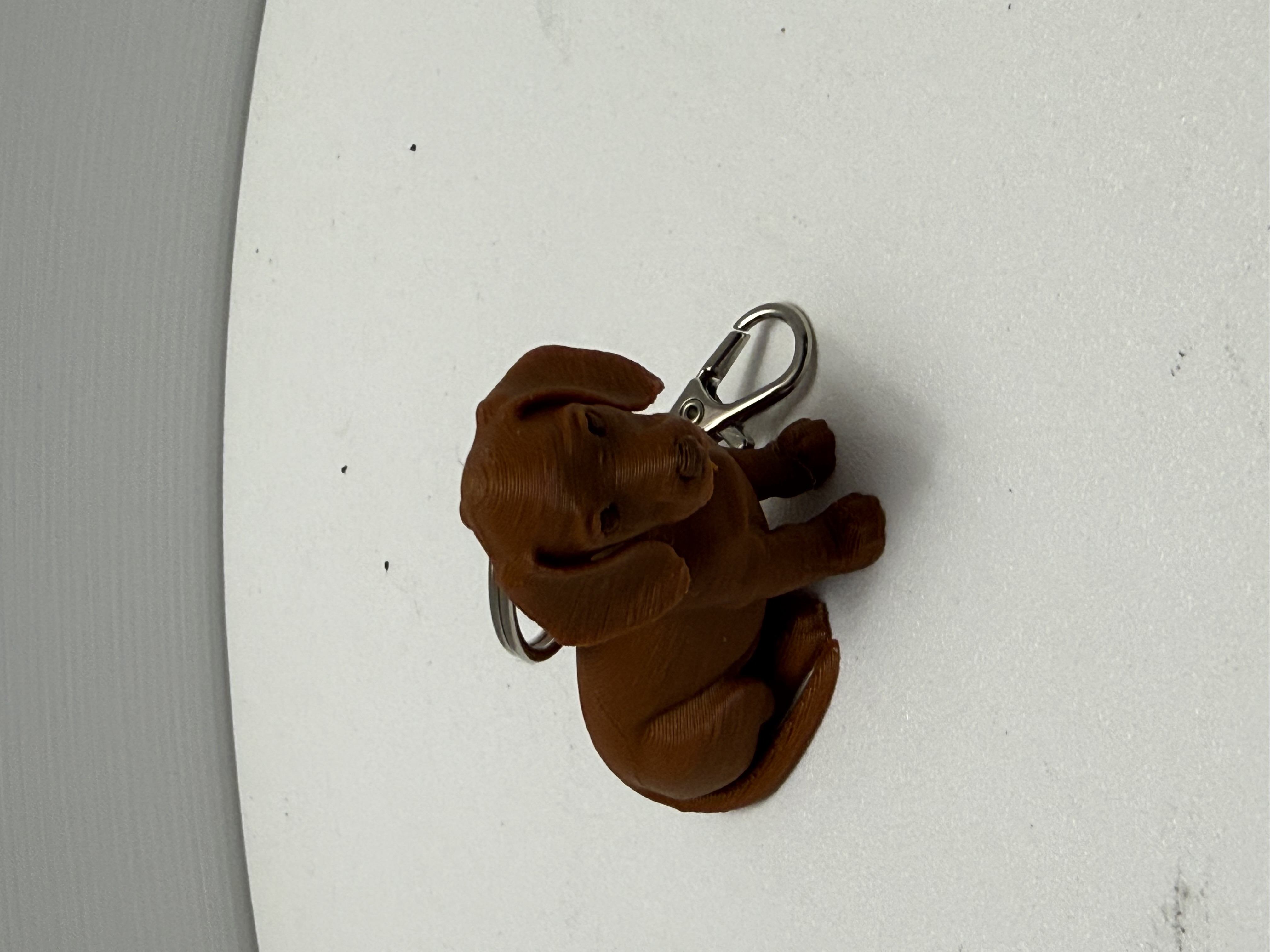 Chestnut brown 3D printed sitting dachshund puppy keychain with silver swivel clasp on white surface